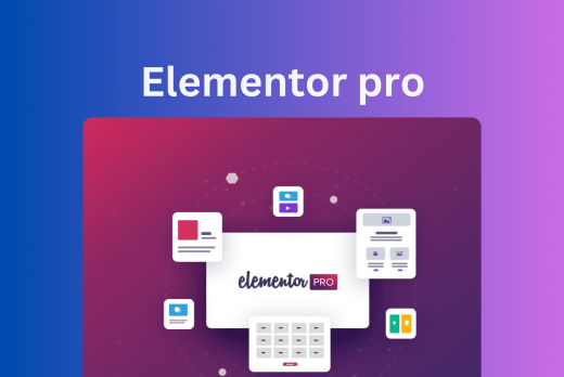 Elementor Pro